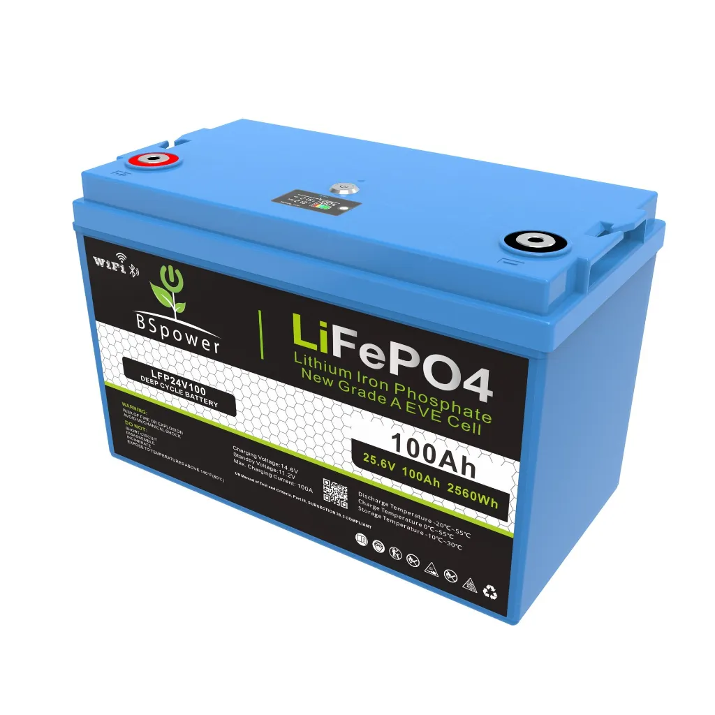 WhatsApp Image 2026-02-14 at 9.48.19 PM.webp